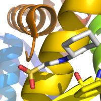 pymol-ray0.png pymol-ray0.png