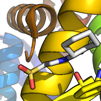 pymol-ray1_aa10.png pymol-ray1_aa10.png